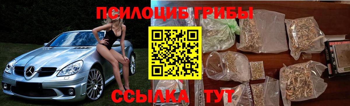 Симферополь  Псилоцибиновые грибы GOLDEN TEACHER  Вход с VPN 